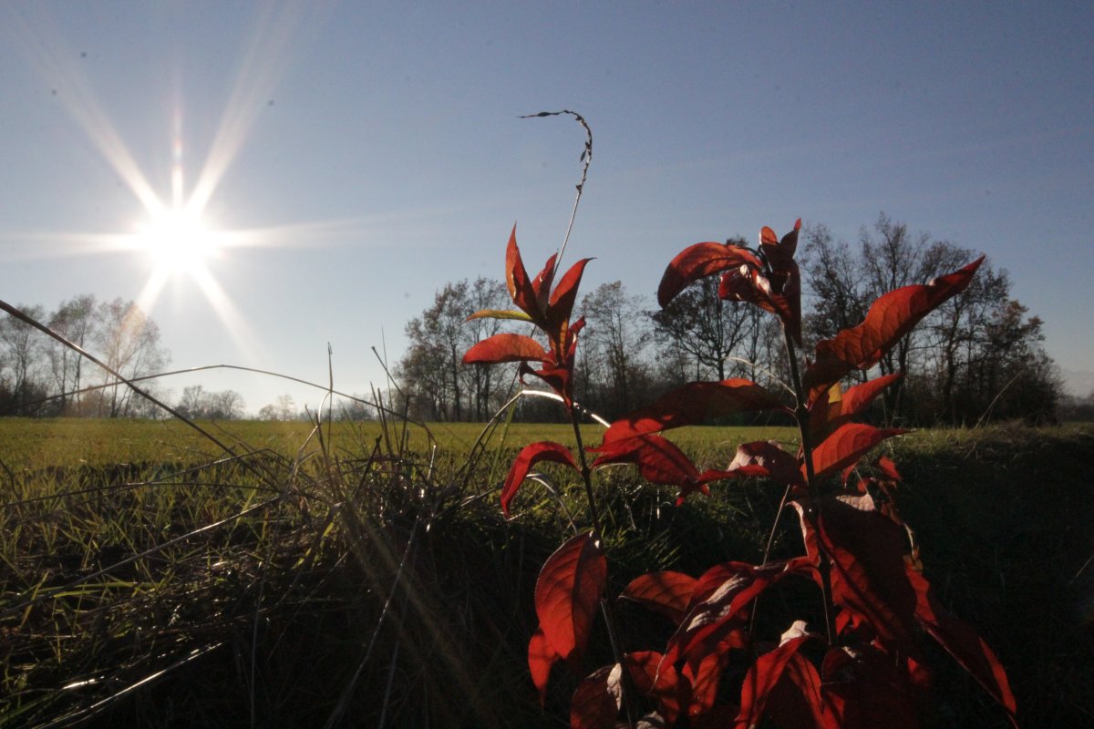 walkinpiedmont-escursioni-trekking-ciaspole-mtb-Vauda-Canavese