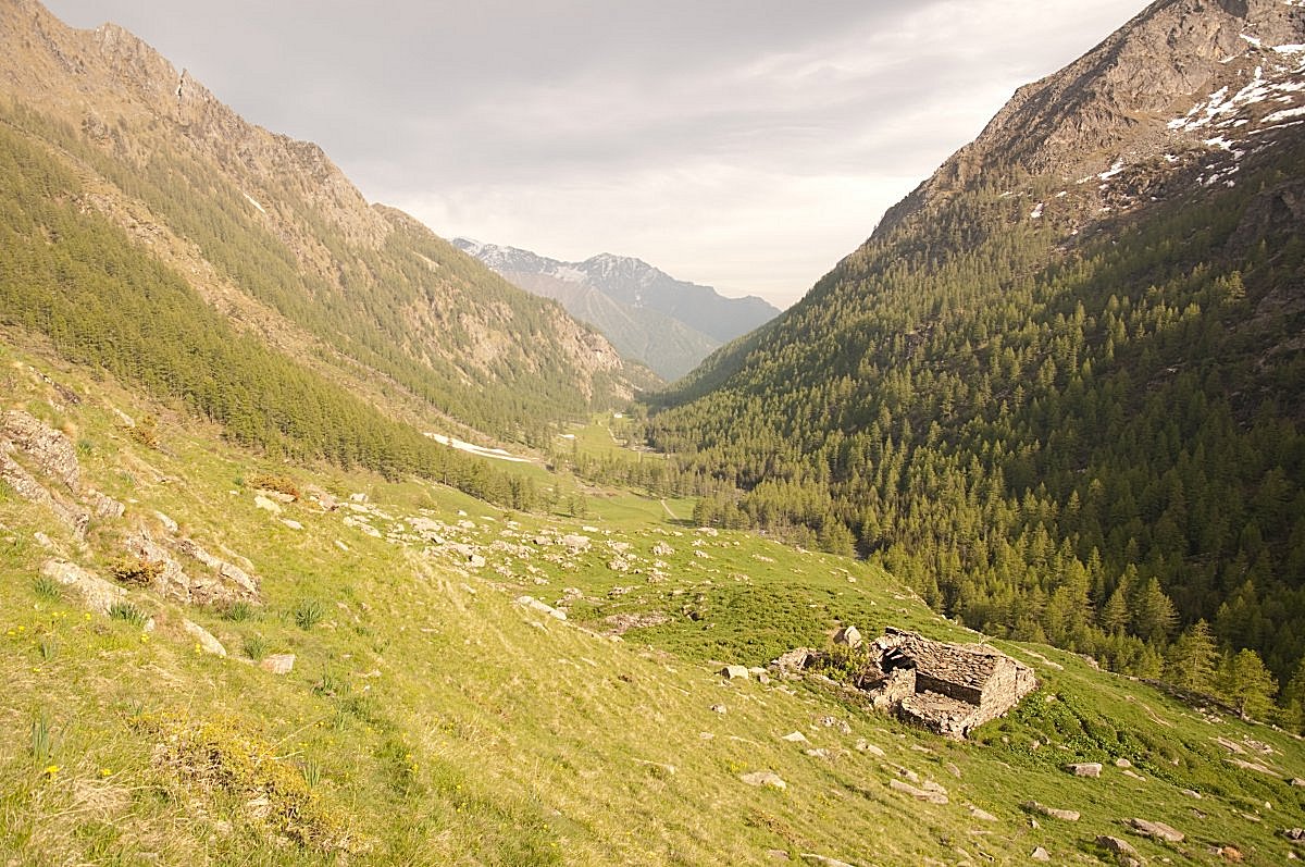walkinpiedmont-escursioni-trekking-ciaspole-mtb-Azaria-Rigoni-Stern