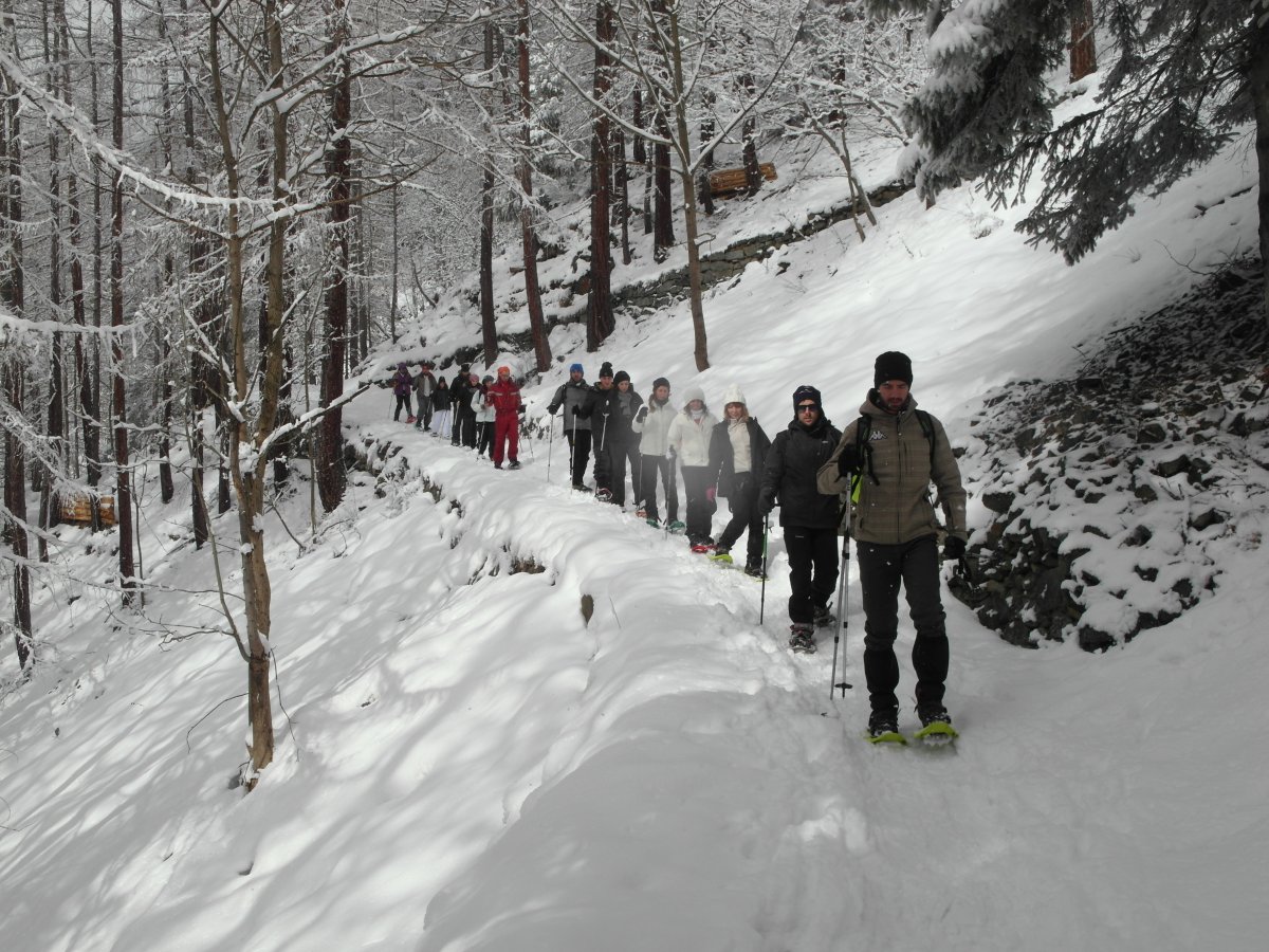 walkinpiedmont-escursioni-trekking-ciaspole-mtb-Groupon-Strada-Reale-di-Caccia