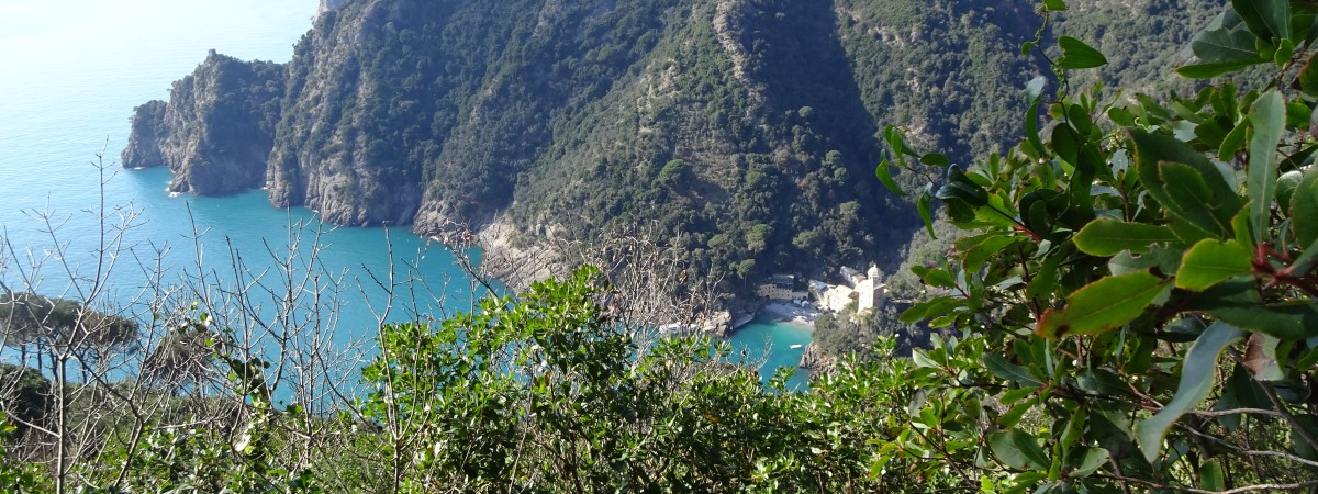 walkinpiedmont-escursioni-trekking-ciaspole-mtb-Camogli-Portofino-Santa-Margherita