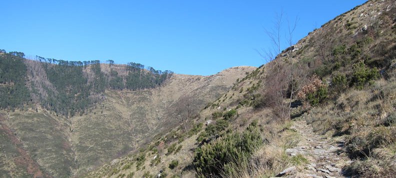 walkinpiedmont-escursioni-trekking-ciaspole-mtb-Monte-Castelletti-Arenzano