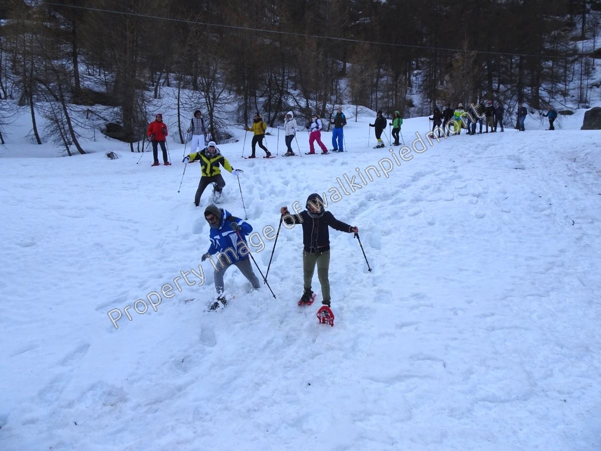 walkinpiedmont-escursioni-trekking-ciaspole-mtb-Groupon-Ceresole-Reale