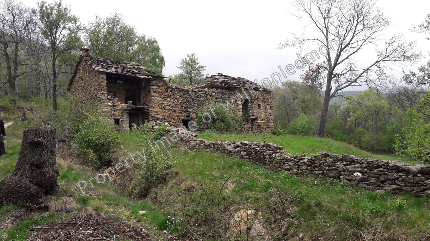 walkinpiedmont-escursioni-trekking-ciaspole-mtb-Via-dei-Salmi