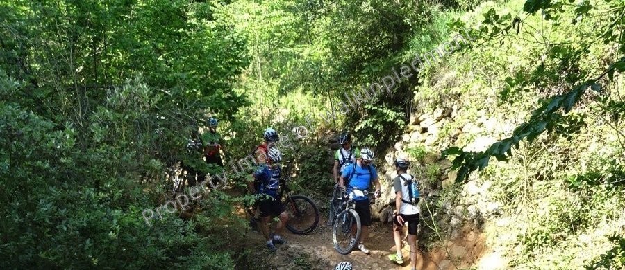 walkinpiedmont-escursioni-trekking-ciaspole-mtb-Val-Ponci-Ponti-Romani