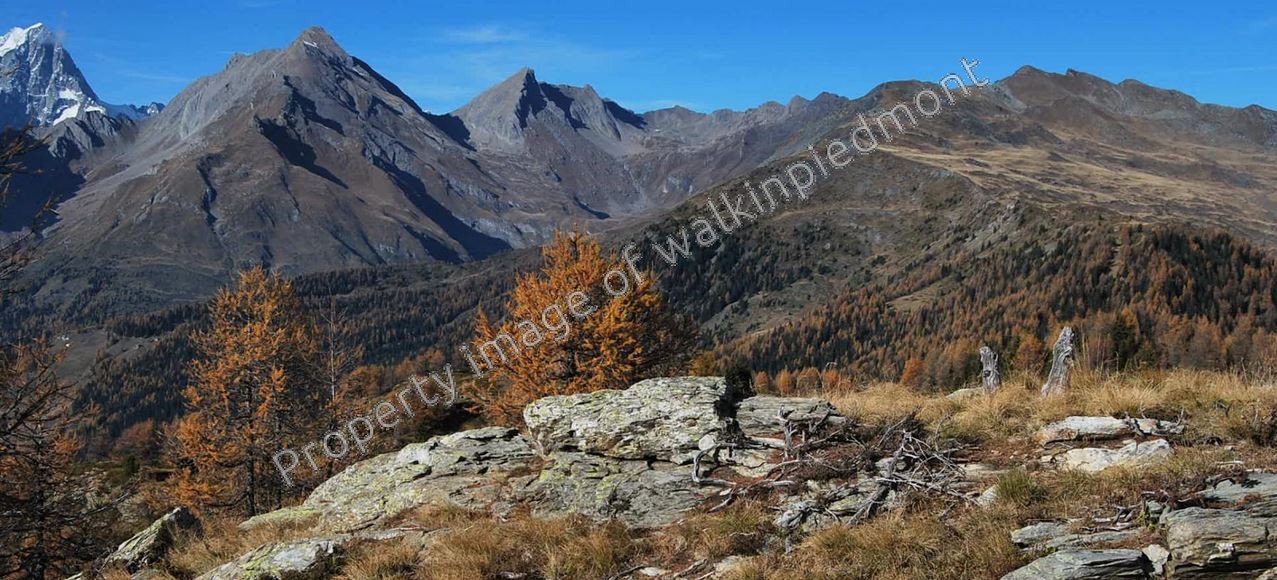 walkinpiedmont-escursioni-trekking-ciaspole-mtb-lago-Court-De-Bard