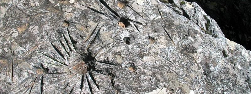 Image11