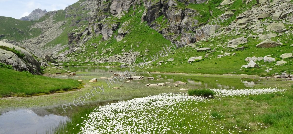 walkinpiedmont-escursioni-trekking-ciaspole-mtb-pimumini-dei-ghiacciai-Punta-Giardonera