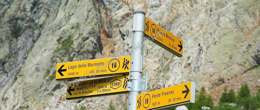 walkinpiedmont-escursioni-trekking-ciaspole-mtb-lago-lago-Marmotte