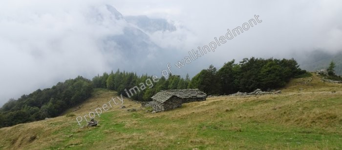 walkinpiedmont-escursioni-trekking-ciaspole-mtb-Piani-di-Attia-001