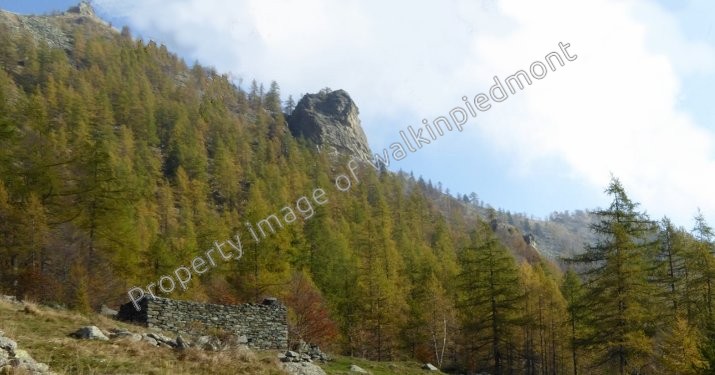 walkinpiedmont-escursioni-trekking-ciaspole-mtb-Colle-Crosiasse-001
