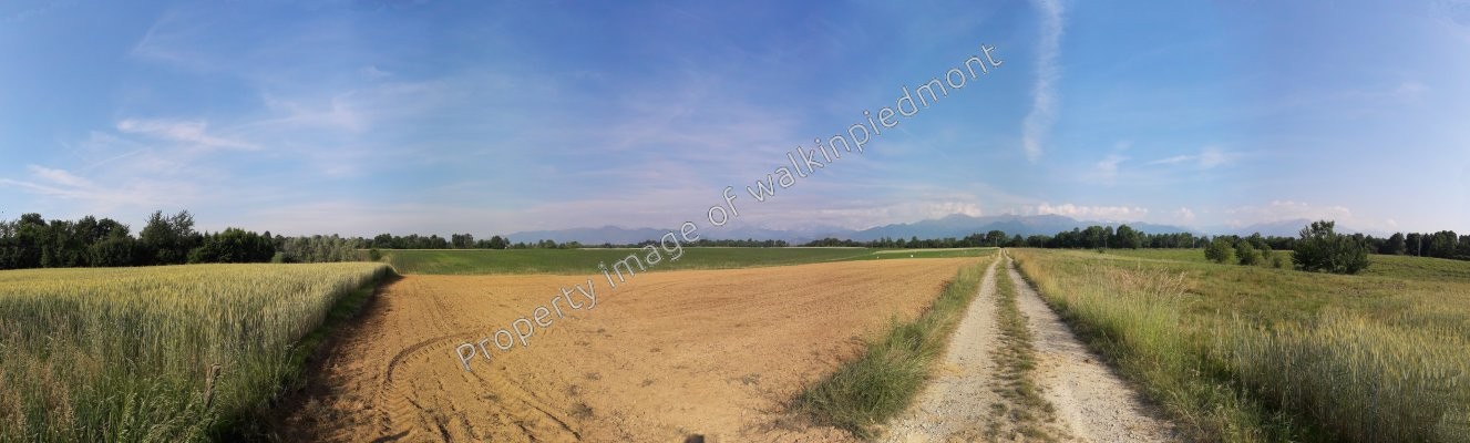 walkinpiedmont-escursioni-trekking-ciaspole-mtb-poligono-San-Francesco-al-Campo_001