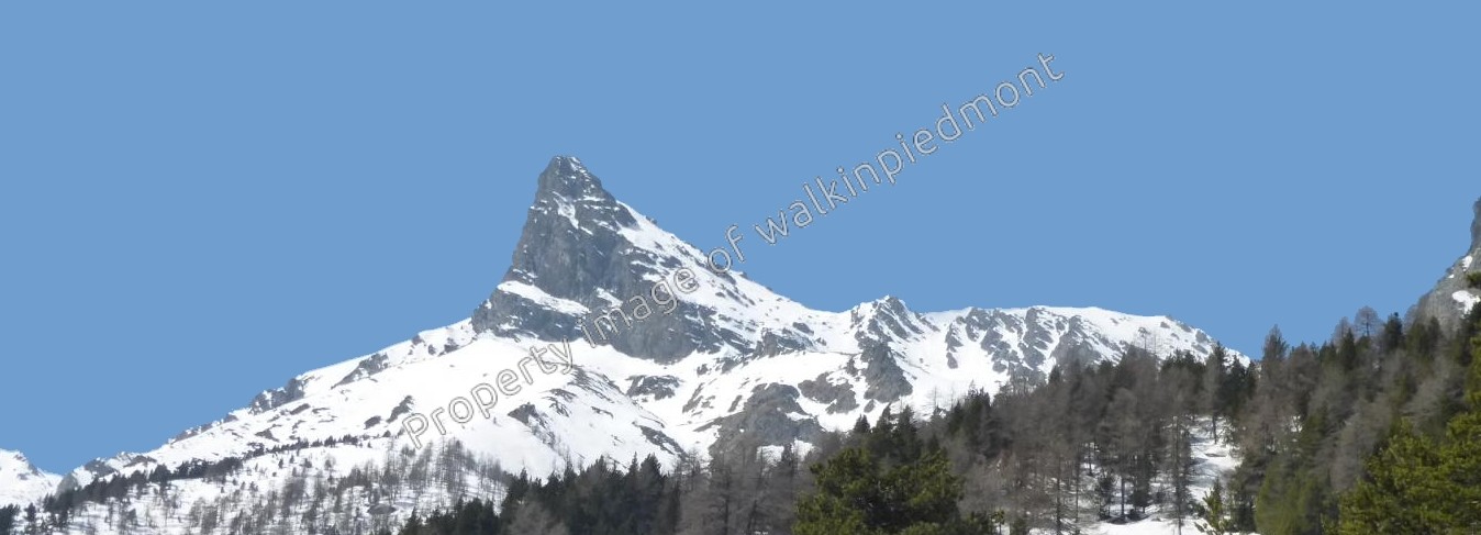 walkinpiedmont-escursioni-trekking-ciaspole-mtb-Mont-Avic