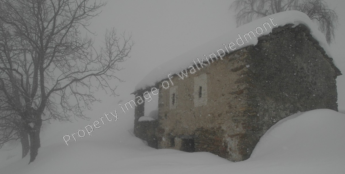 Image1 2