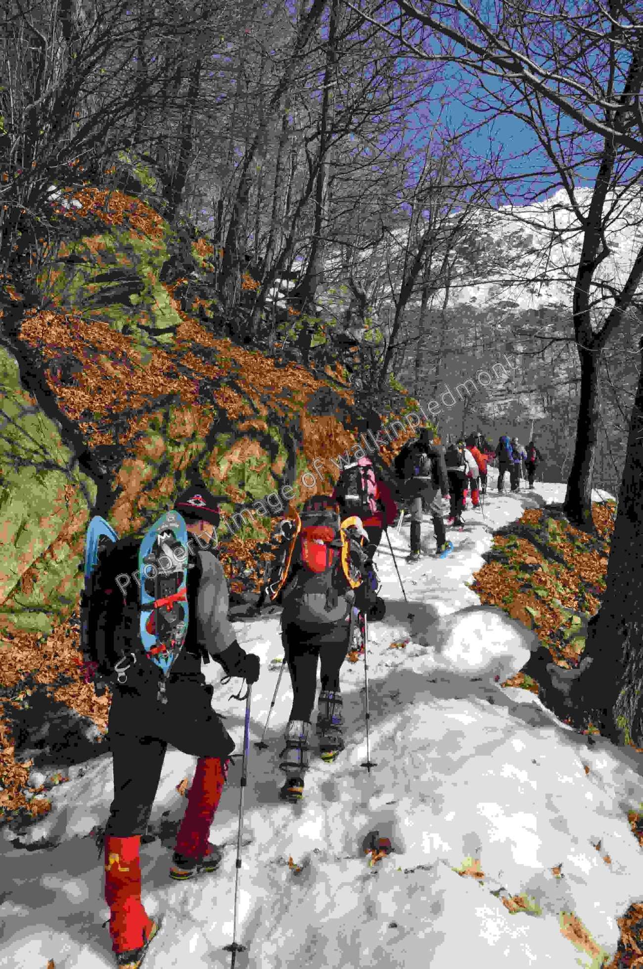 walkinpiedmont-escursioni-trekking-ciaspole-mtb-Codebiollo-002