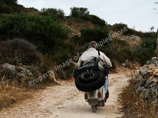 fotografia walkinpiedmont