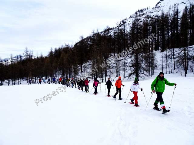 racchette neve ciaspole walkinpiedmont