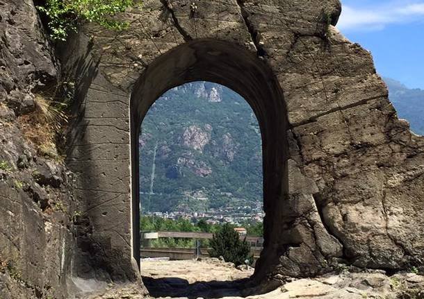 Image1 2