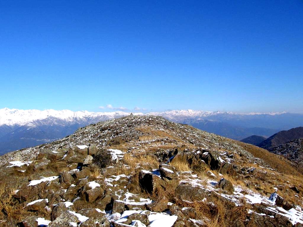 Colombano