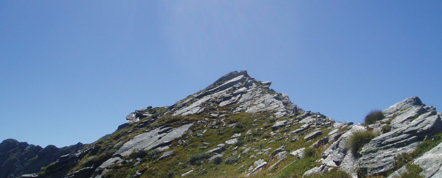 Image3