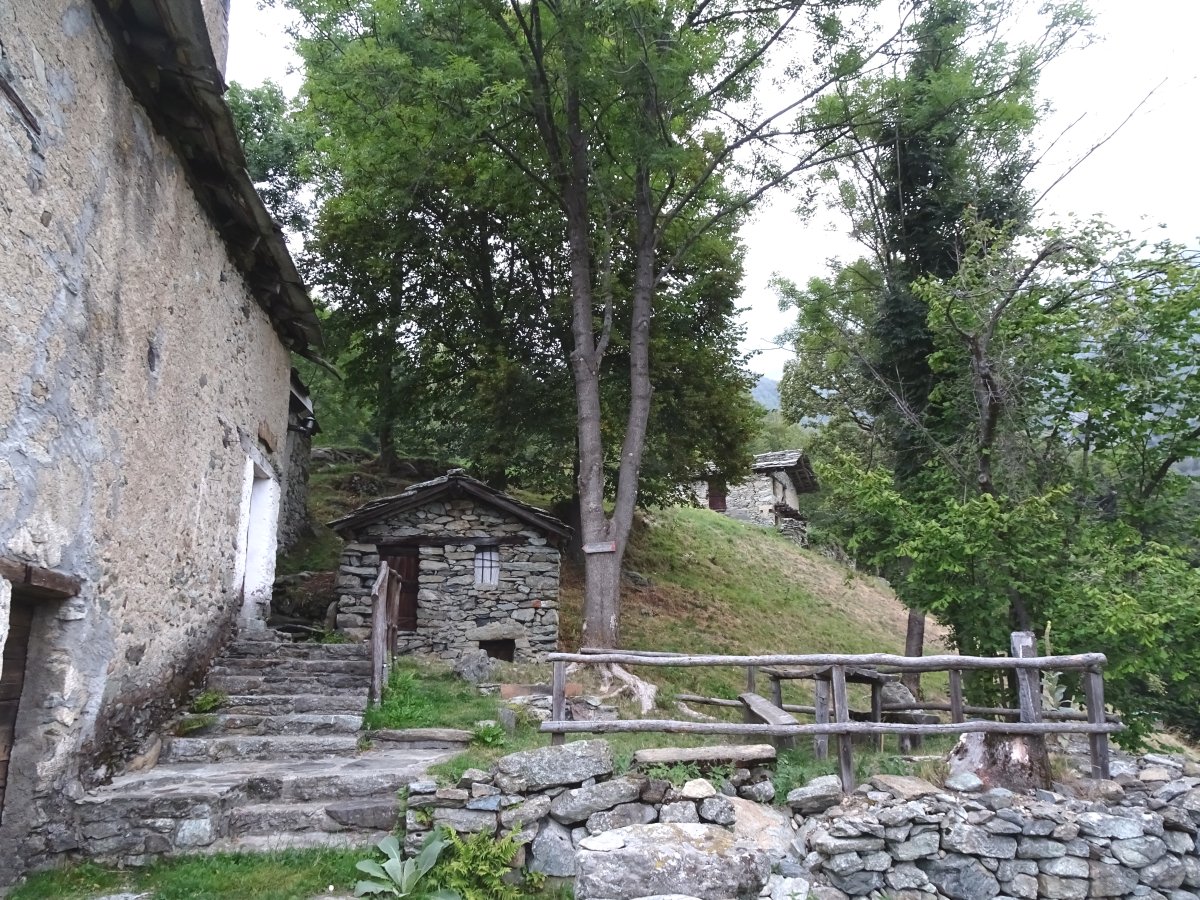 Dsc05099