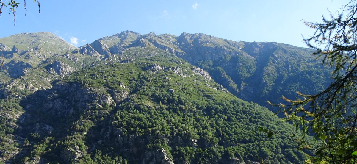 Fontane Fredde