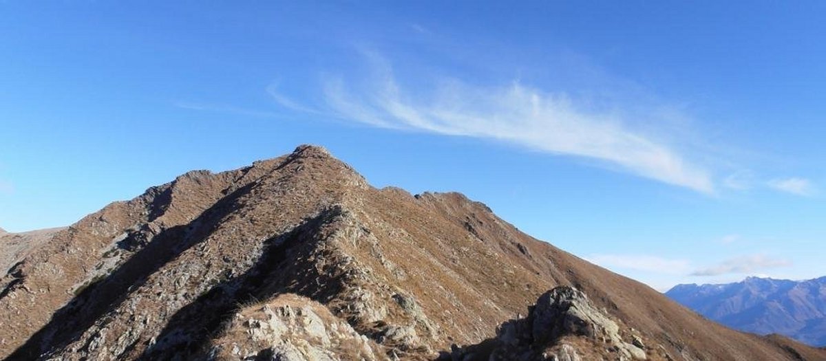 Image1