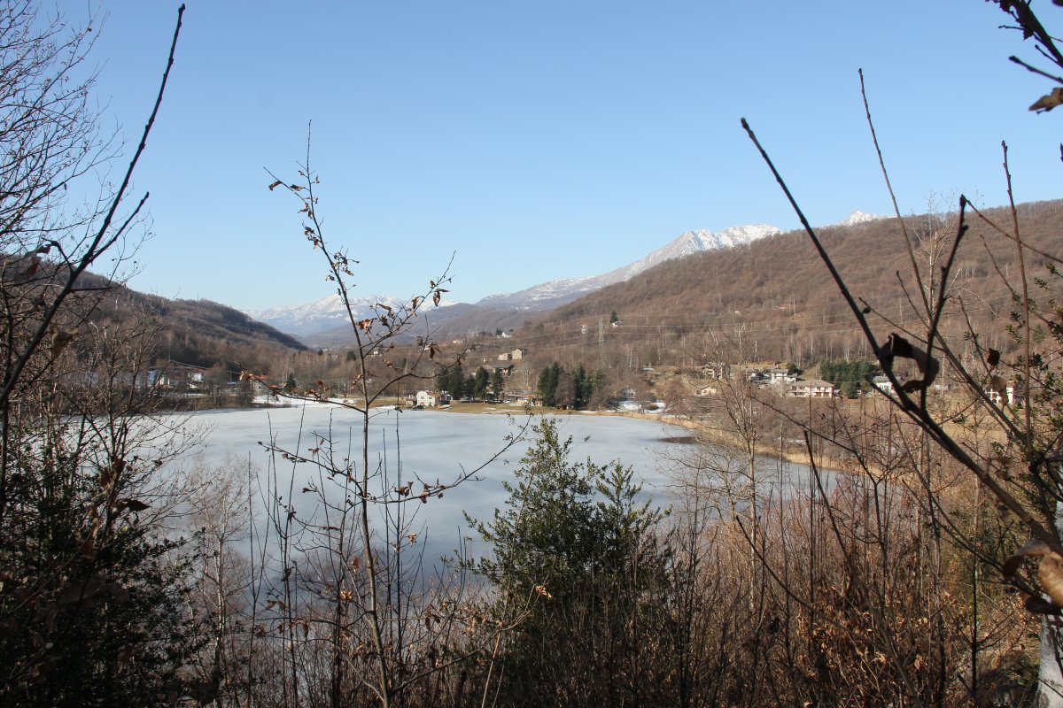 Img 0460