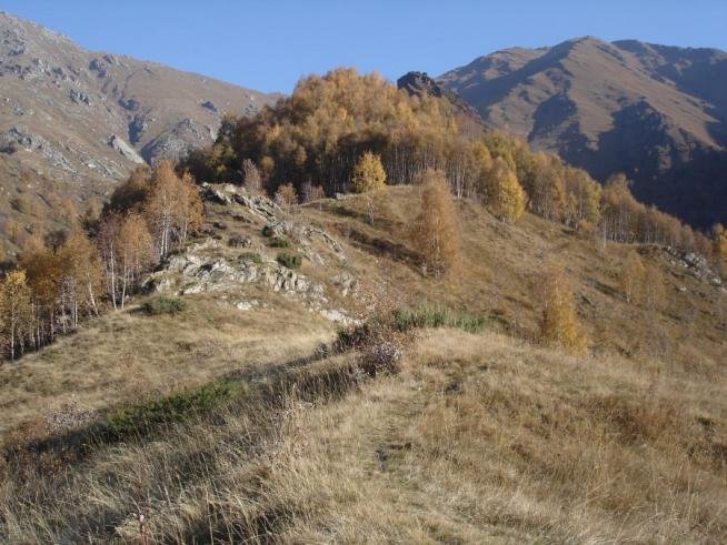 Image1