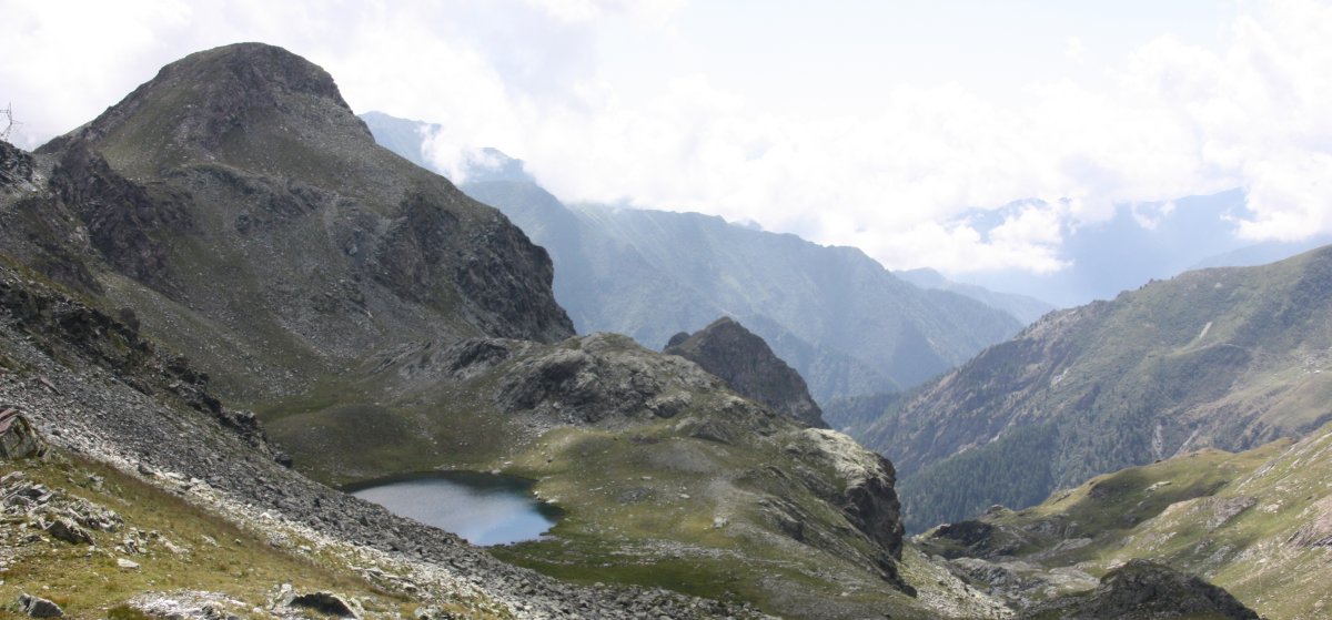 Image1a