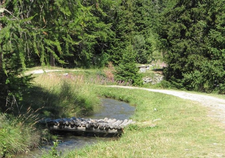 Image2 5