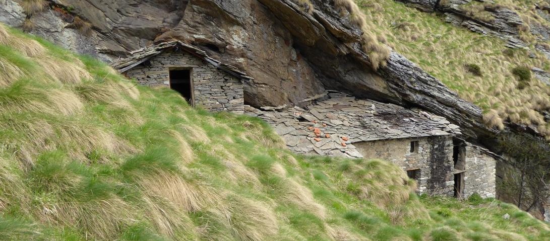 Image2 5