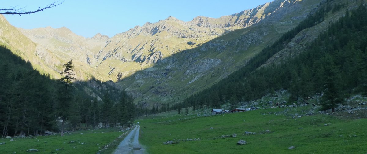 Image1 2