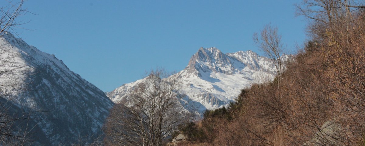 Image1 4
