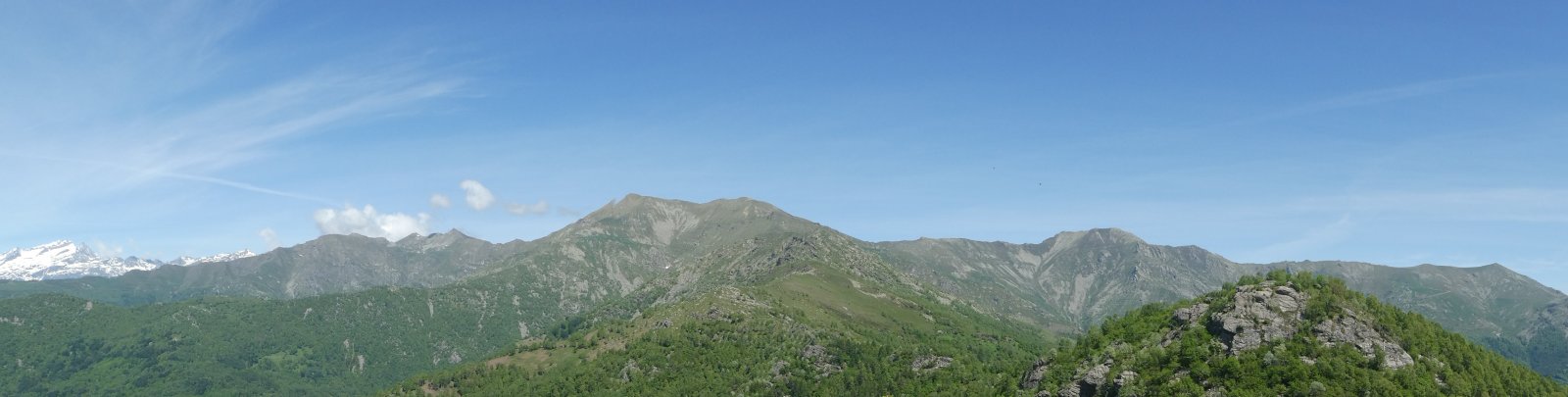Image1