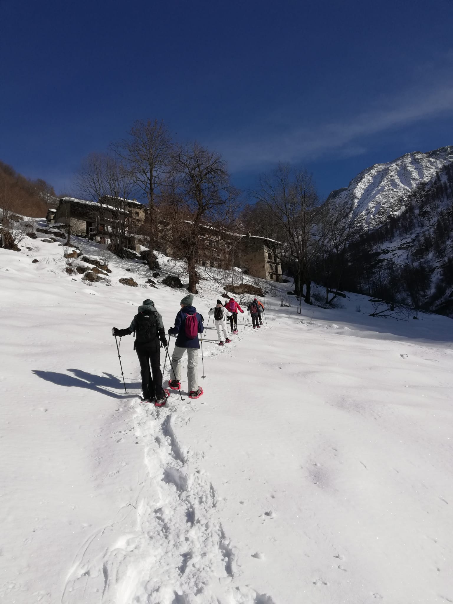 IMG 20210116 WA0061 2