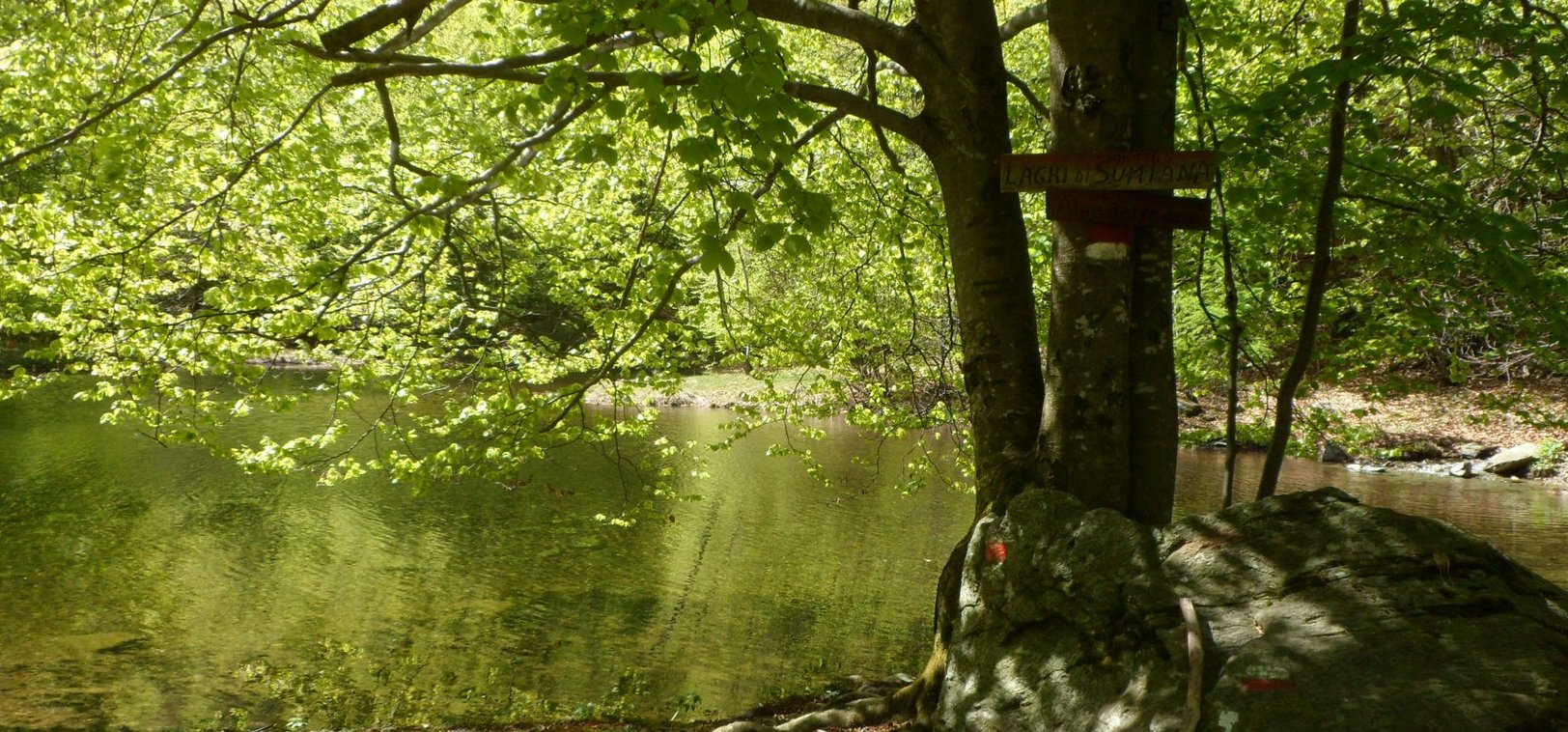 lago Sumiana