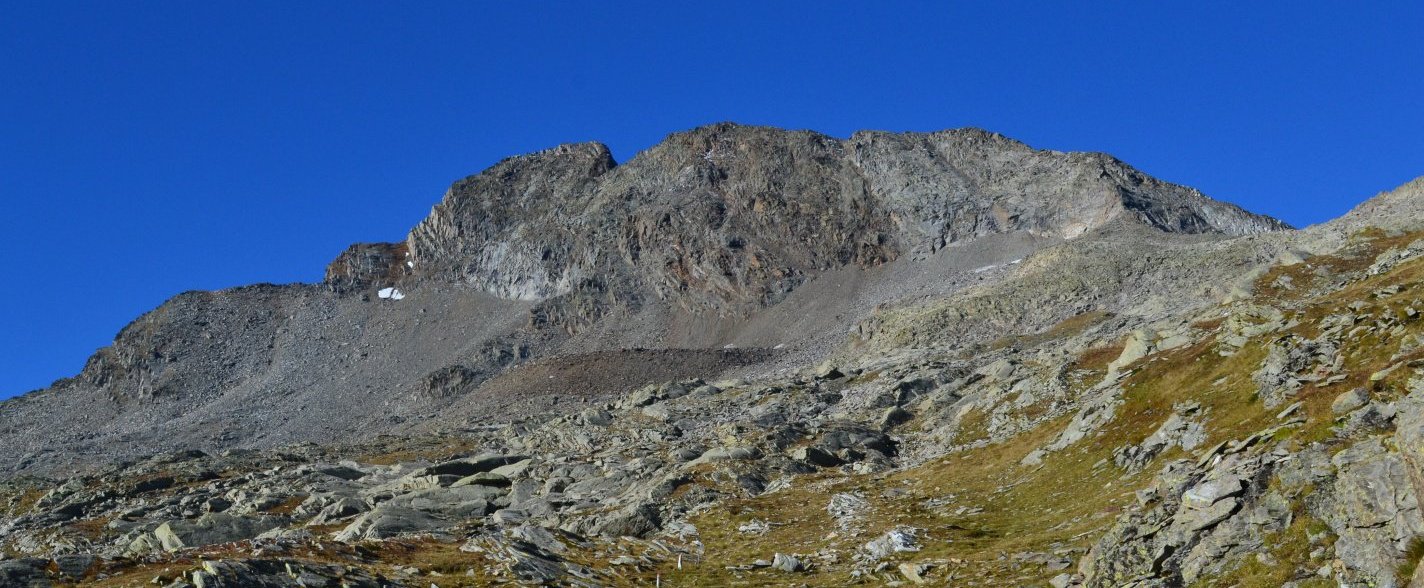 Image1