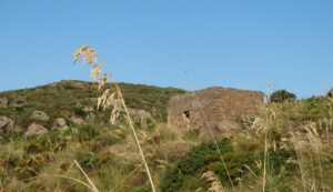 Image10 Image10