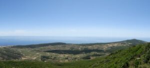 Image11 Image11