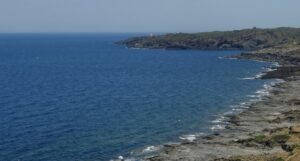 Image5 Image5